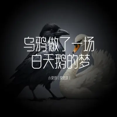 乌鸦做了一场白天鹅的梦封面