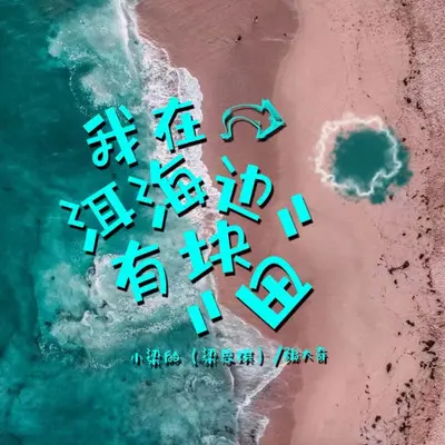 我在洱海边有块田封面