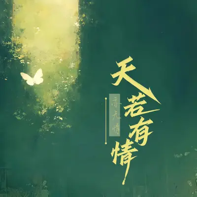 我愿你星河长明（氛围版）封面