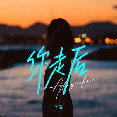 你走后 - 辛雯封面