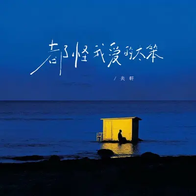 都怪我爱的太笨封面