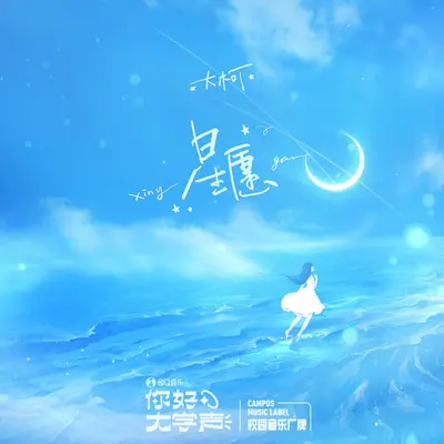 星愿封面