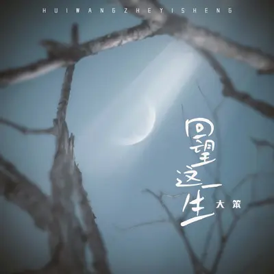 回望这一生（DJ豪大大版） - 大笨封面
