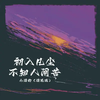 初入凡尘不知人间苦（DJ Eva版） - 小梁的（梁思琪）封面