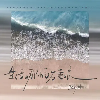 哪怕生活万重浪封面