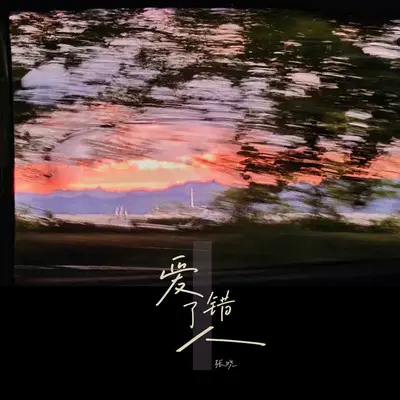 爱错了人（伴奏）封面