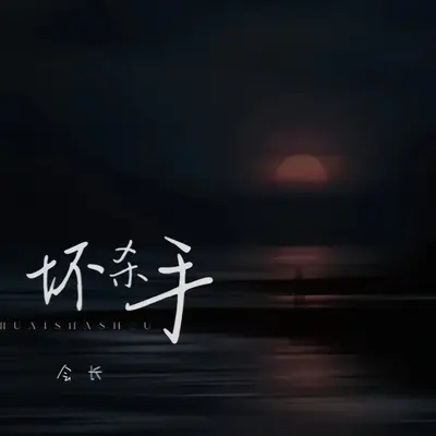 坏杀手 (你站在聚光灯的舞台)封面