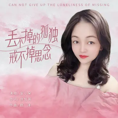 丢不掉的孤独戒不掉思念（DJ沈念版）封面