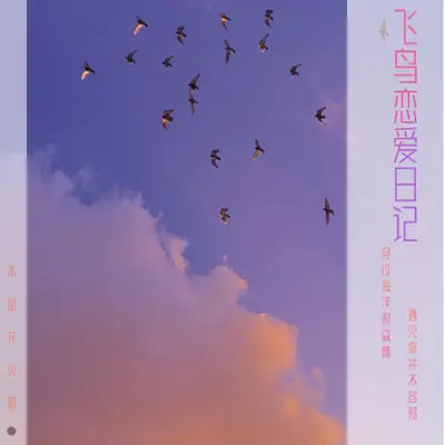 飞鸟恋爱日记（伴奏）封面