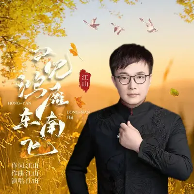 又见鸿雁东南飞（DJ光年版）封面