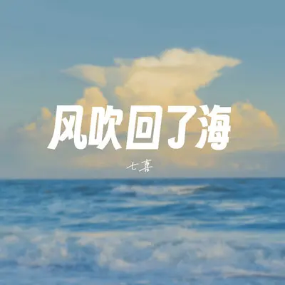 风吹回了海(DJ Eva版)封面