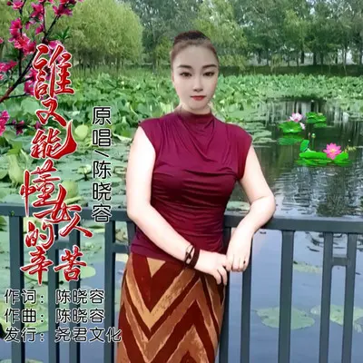 谁又能懂女人的辛苦封面