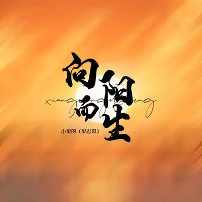 向阳而生DJ版 - 小梁的（梁思琪）封面