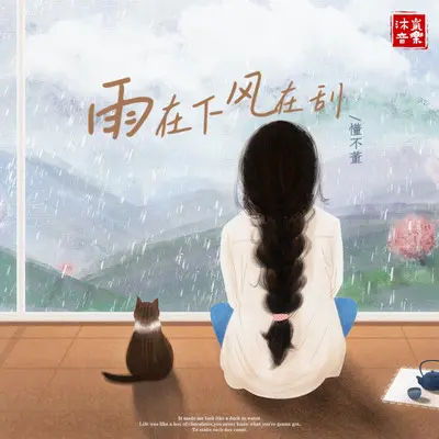 雨在下风在刮（DJ小蒋版）封面