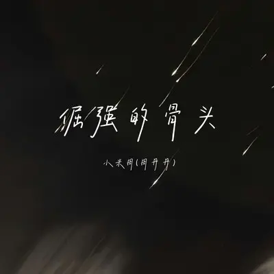 倔强的骨头（DJ Eva 版）封面