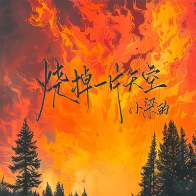 烧掉一片天空 - 小梁的（梁思琪）封面