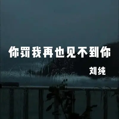 你罚我再也见不到你（DJ先森版）封面