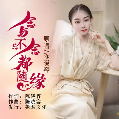 念与不念都随缘（DJ版）（伴奏）封面