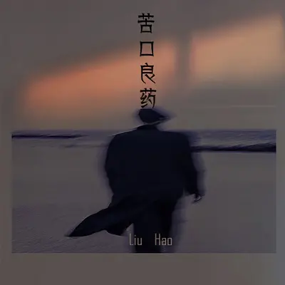 苦口良药封面