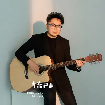 青春已走（DJ版）封面