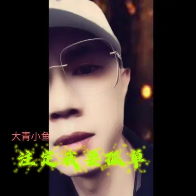 注定我要孤单封面