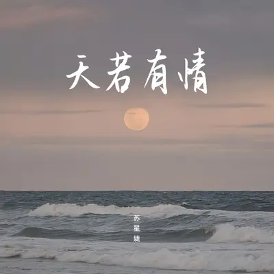 天若有情 (DJAh版)封面