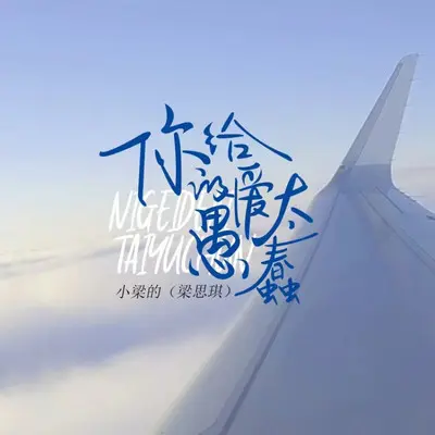 你给的爱太愚蠢（DJ版）封面