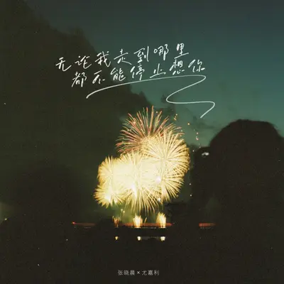 无论我走到哪里都不能停止想你封面