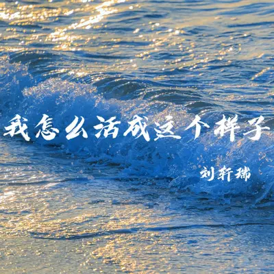 我怎么活成这个样子封面