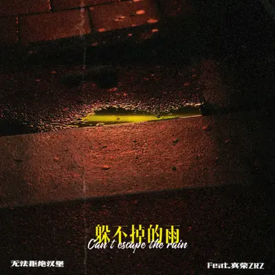 躲不掉的雨封面