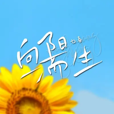 向阳而生封面