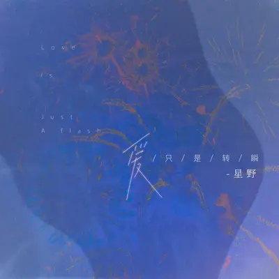 爱只是转瞬（也许这一次我才明白）封面
