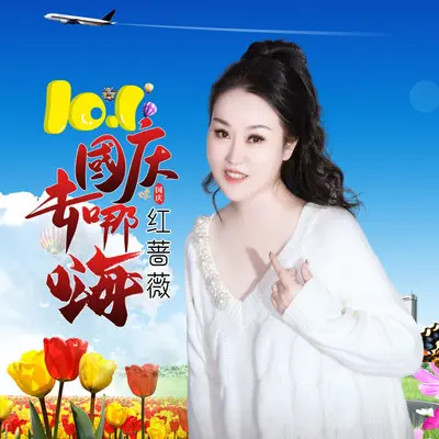 十一国庆去哪嗨（DJ）封面