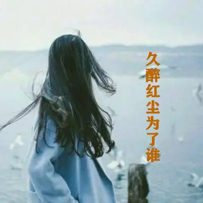 久醉红尘为了谁封面