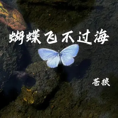 蝴蝶飞不过海（男版）封面