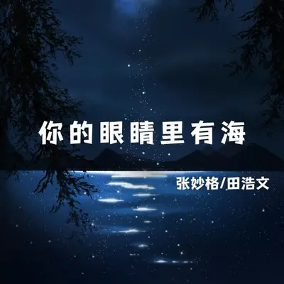 你的眼睛里有海封面