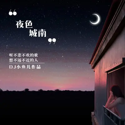 夜色城南（DJ版）（伴奏）封面