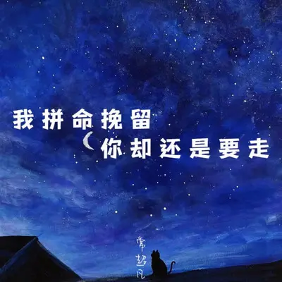 我拼命挽留你却还是要走封面