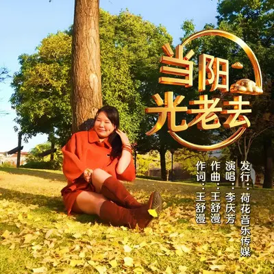 当阳光老去封面