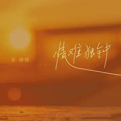 情难独钟（DJAilward版）封面