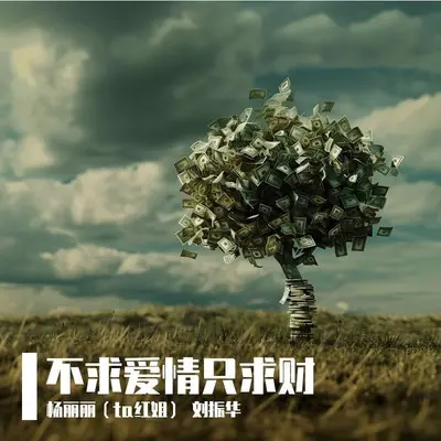 不求爱情只求财封面
