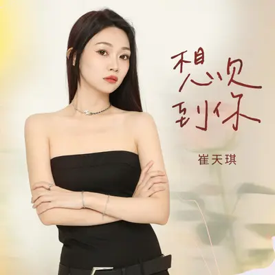 想见到你 - 崔天琪封面