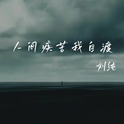 人间疾苦我自渡（伴奏） - 刘纯封面