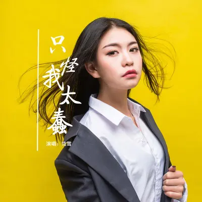 只怪我太蠢封面