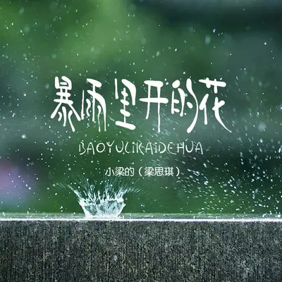 暴雨里开的花（DJ Eva版）封面