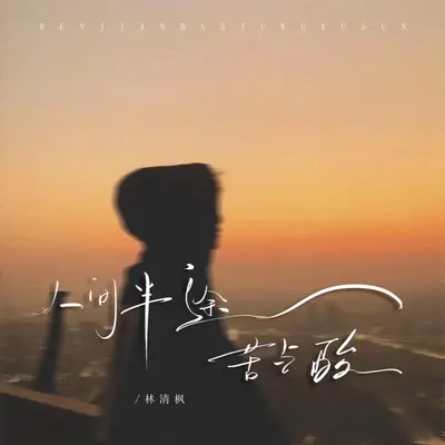 人间半途苦与酸 - 林清枫封面
