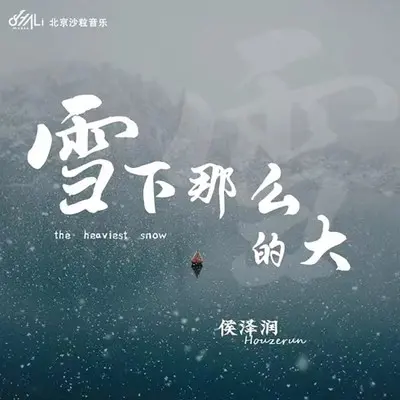 雪下那么的大封面