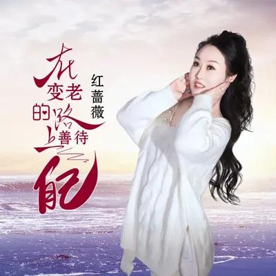 在变老的路上善待自己（DJ彭锐版） - 红蔷薇封面