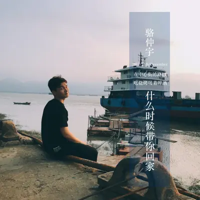 什么时候带你回家封面