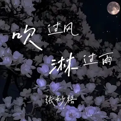 吹过风淋过雨封面